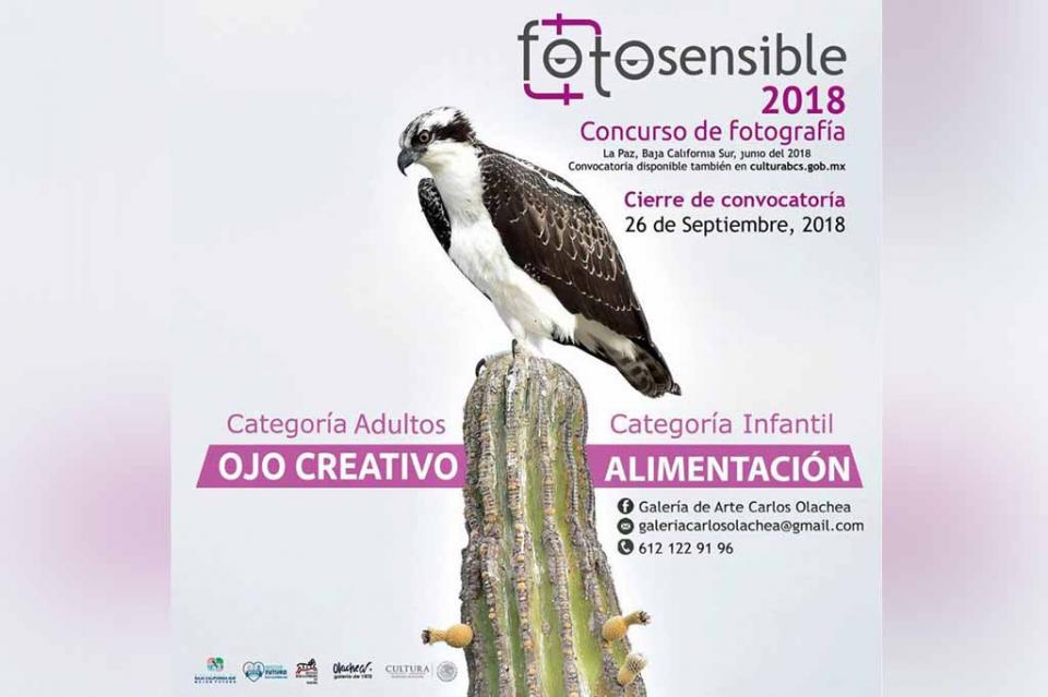 Abre Instituto de Cultura La Convocatoria “Fotosensible 2018” Abre Instituto de Cultura La Convocatoria “Fotosensible 2018”
