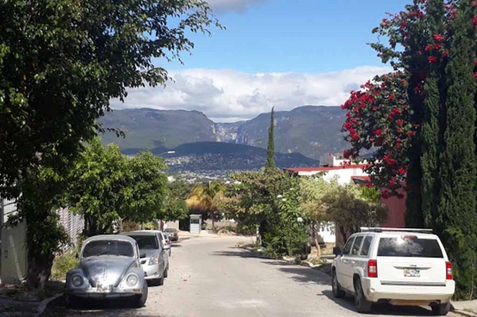 Universitarios desarrollan parque ecológico Yashalum en Tuxtla Gutiérrez Universitarios desarrollan parque ecológico Yashalum en Tuxtla Gutiérrez