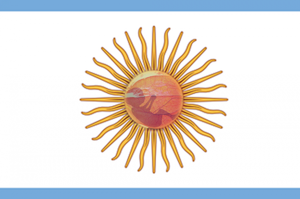 Postergan nuevo debate sobre aborto en Argentina Postergan nuevo debate sobre aborto en Argentina