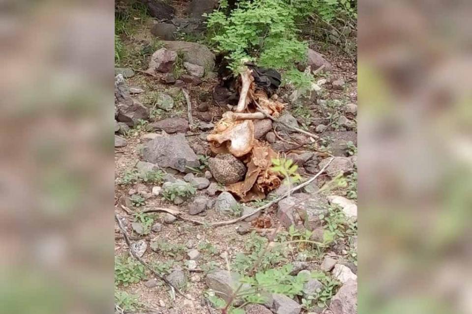 osamenta Encuentran osamenta humana en La Paz