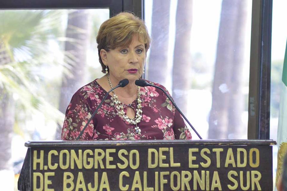 Realiza la Diputada Rosa Delia Cota un balance de tres años de Legislatura Realiza la Diputada Rosa Delia Cota un balance de tres años de Legislatura