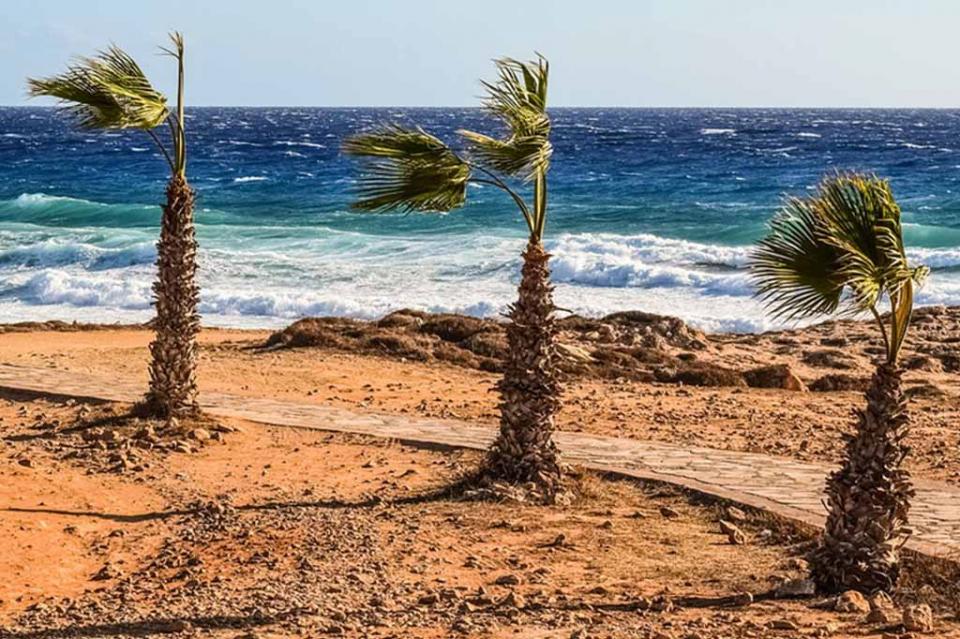 Efectos de tormenta tropical Olivia pegarán en Península de Baja California Efectos de tormenta tropical Olivia pegarán en Península de Baja California