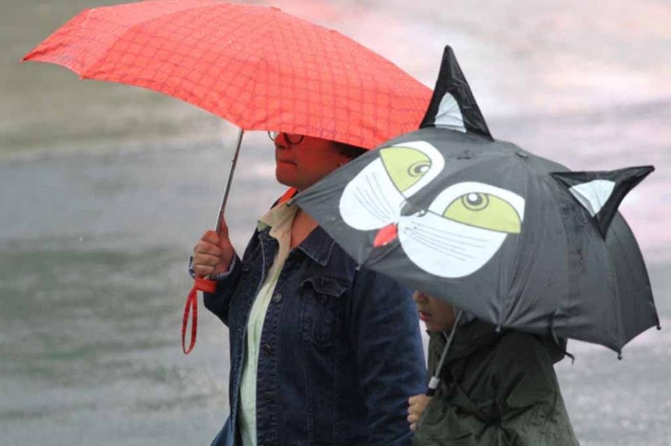 Zona de inestabilidad causará tormentas intensas en el noreste del país Zona de inestabilidad causará tormentas intensas en el noreste del país