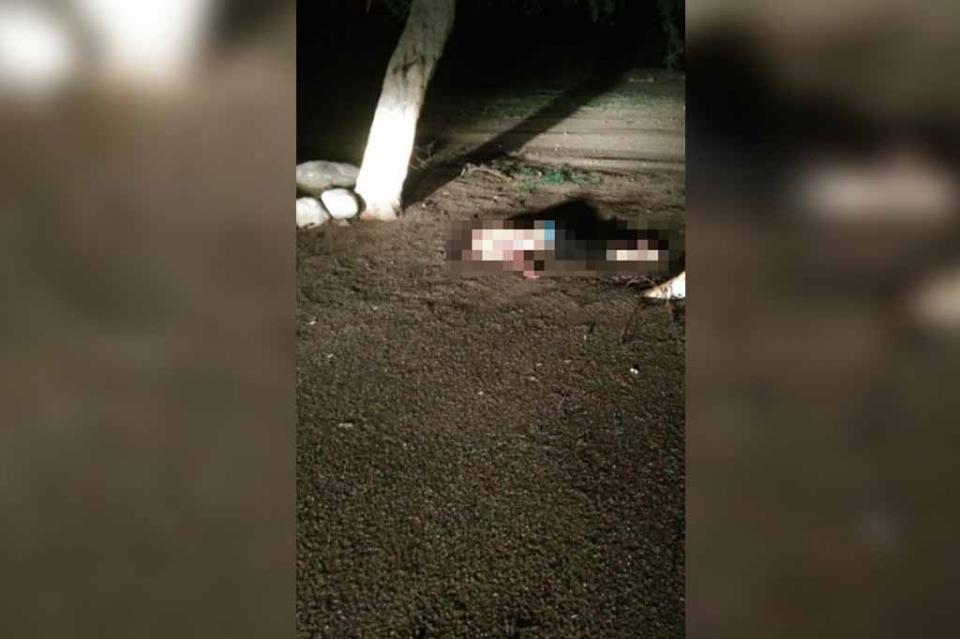 muertocaduaño Aparece un hombre muerto a balazos en Caduaño