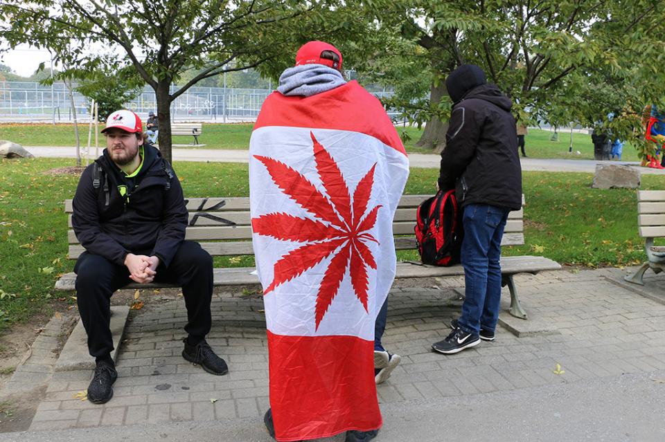 Consumidores de marihuana en Canadá dicen que abandonarán mercado ilegal Consumidores de marihuana en Canadá dicen que abandonarán mercado ilegal