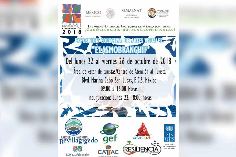 semanaporlaconservacion Con exposición colectiva de artes visuales "ELASMOBRANCHII", celebran Semana Nacional por la Conservación