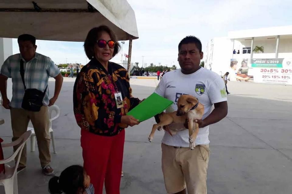 “Adopta un Amigo” Programa exitoso que promueve la adopción de animales de compañía “Adopta un Amigo” Programa exitoso que promueve la adopción de animales de compañía