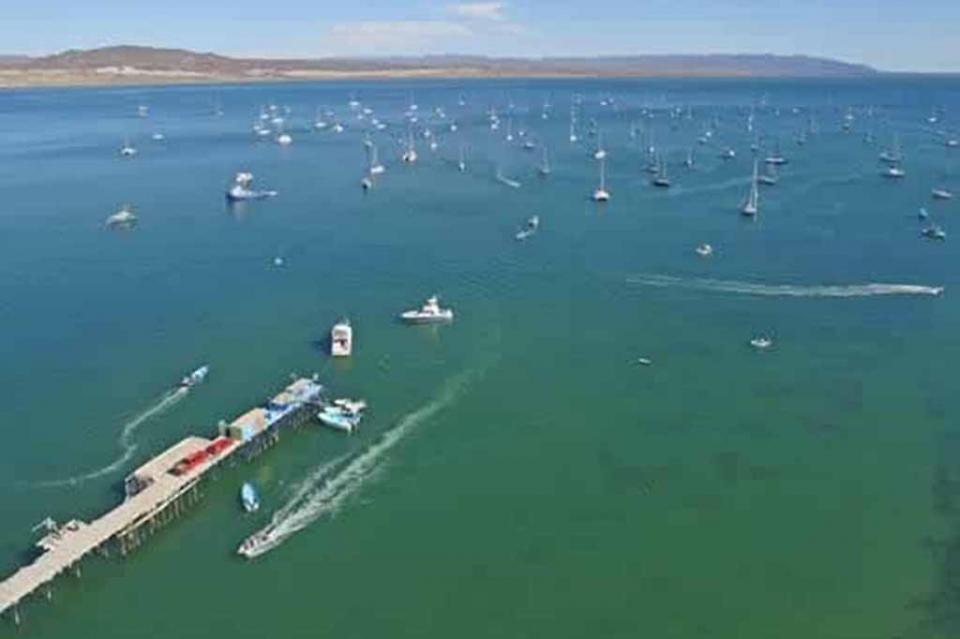 Un éxito regata de veleros “Baja Ha-Ha 2018” Un éxito regata de veleros “Baja Ha-Ha 2018”