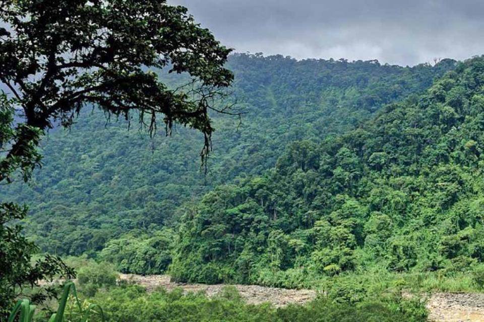 areasprotegidas Gobierno federal incrementa en 163 mil hectáreas las áreas de conservación