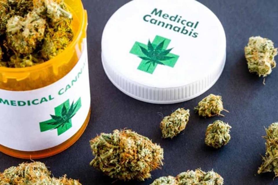 canabis2 Libera Cofepris primer paquete de productos con cannabis