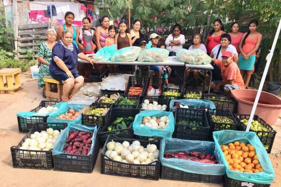 croc23nov Con la época invernal la CROC refuerza la entrega de frutas y verduras a familias de Los Cabos