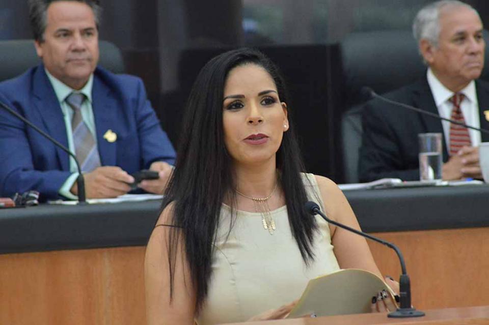 Solicita Fracción del Partido Encuentro Social en el Congreso del Estado apoyar la economía familiar + Hace un llamado al Gobernador del Estado haga reducciones a recargos por falta de pago en la revista y la tenencia vehicular La Paz, Baja Califor… Solicita Fracción del Partido Encuentro Social en el Congreso del Estado apoyar la economía familiar