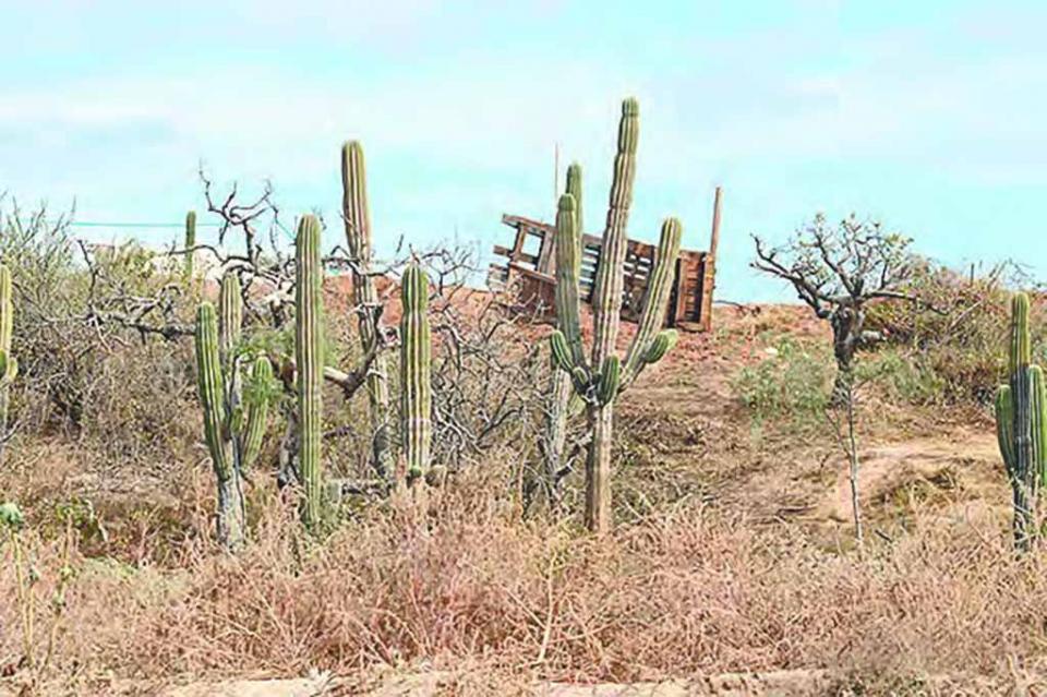 Persisten invasiones en Chula Vista y nadie hace algo por frenarlas: vecinos Persisten invasiones en Chula Vista y nadie hace algo por frenarlas: vecinos
