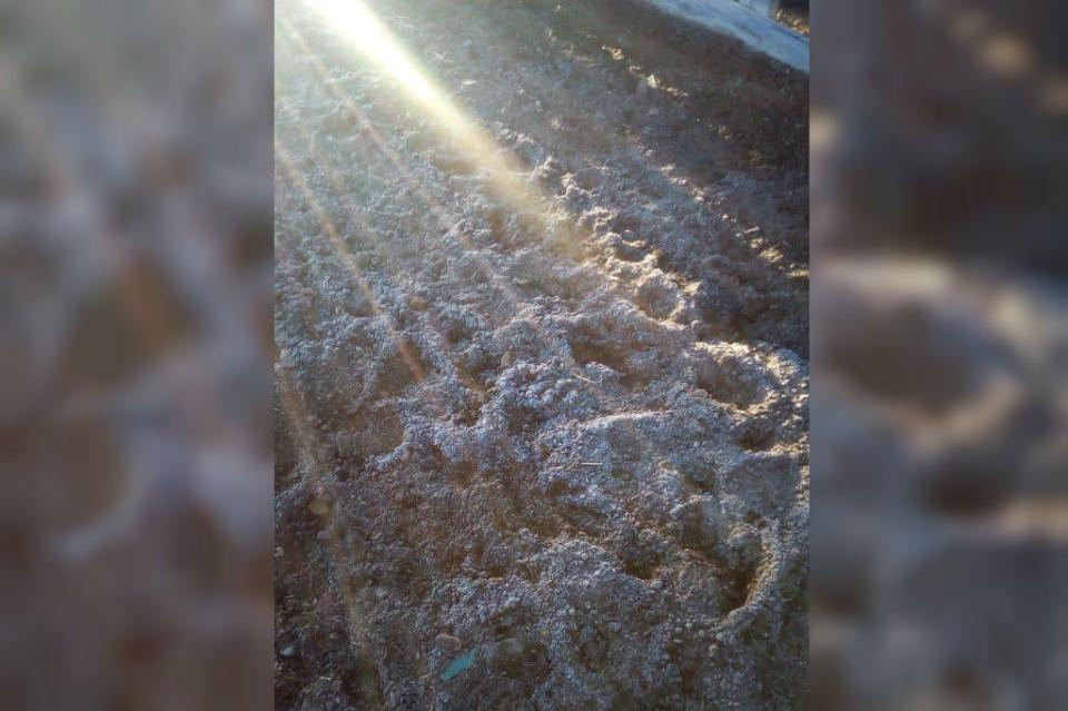 escarchaportada Este jueves, amanece con escarcha zona serrana de Mulegé