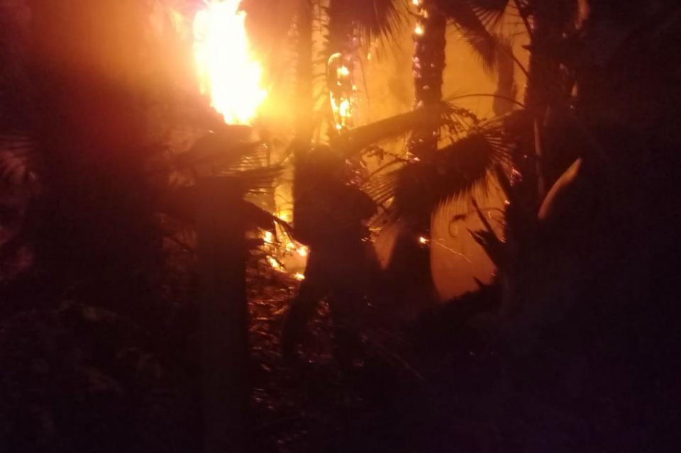 incendiopalmar 3 incendios afectan palmares en Todos Santos