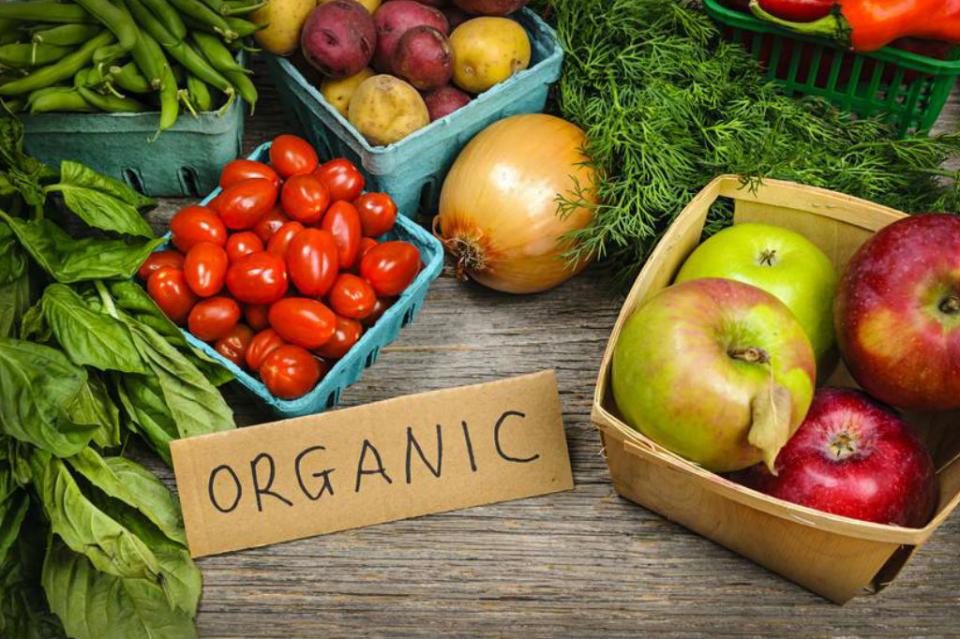organicos2 México, cuarto lugar a nivel global en producción de alimentos orgánicos