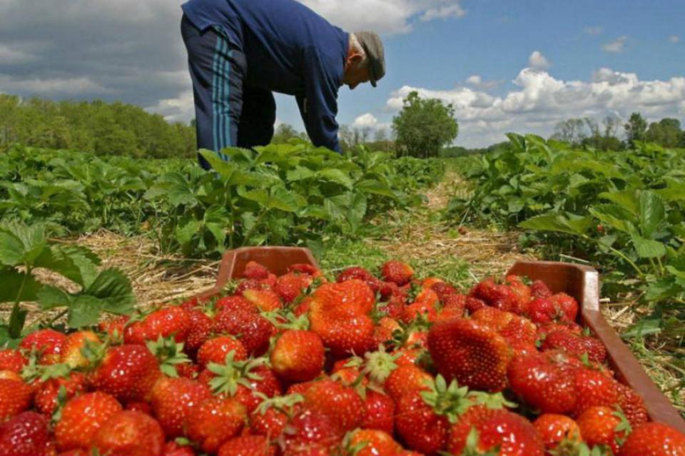 produccion2 Exportaciones mexicanas crecen 2.8 por ciento en noviembre