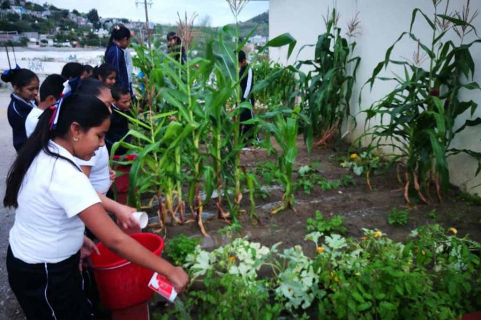 Fomenta SETUES cuidado ambiental en escuelas primarias Fomenta SETUES cuidado ambiental en escuelas primarias