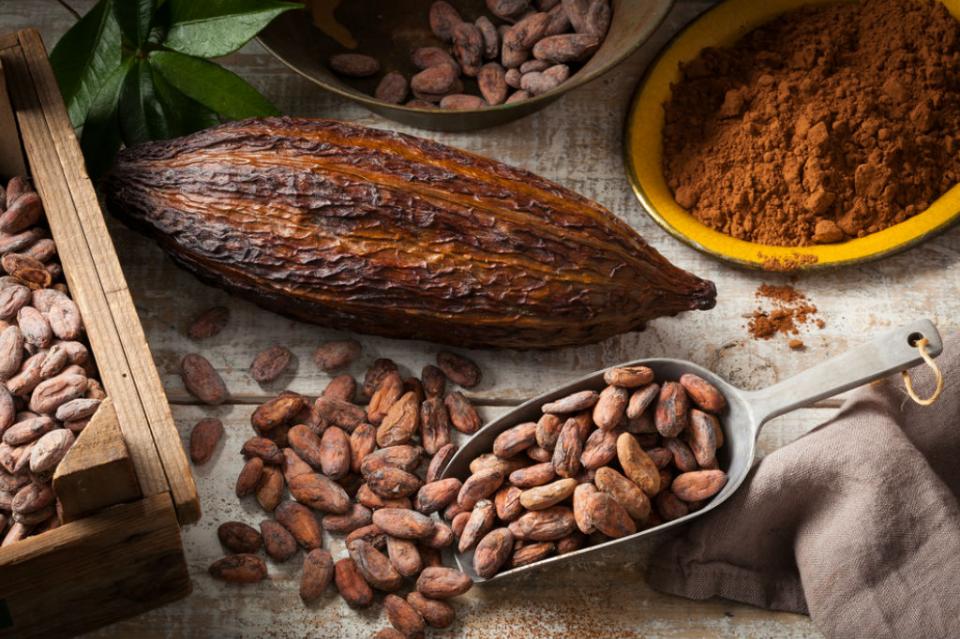 cacao2 Afirman que el cacao tiene más de 350 propiedades y ayuda a "ser feliz"