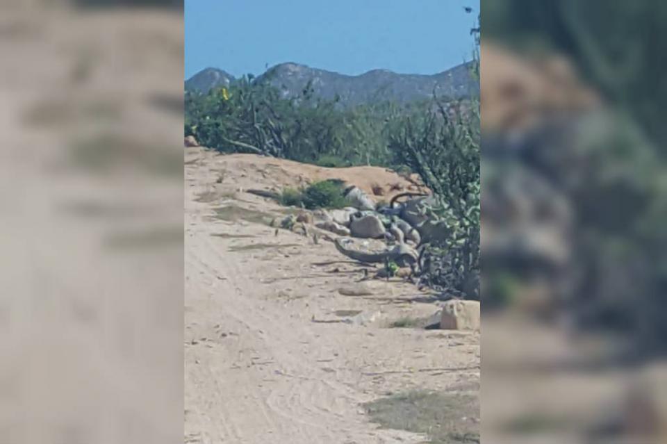 muertosaltito2 Encuentran persona sin vida en playa El Saltito en La Paz