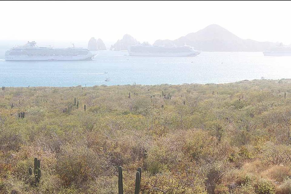 Registra Los Cabos arribo de 3 cruceros; más de 8 mil turistas en la bahía Registra Los Cabos arribo de 3 cruceros; más de 8 mil turistas en la bahía