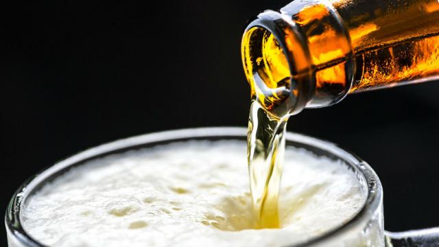 cerveza2 Buscan alternativas médicas en residuos de elaboración de cerveza