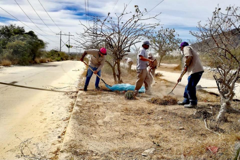 serviciospublicos2 Servicios Públicos Los Cabos realiza limpieza de camellones centrales de las colonias en Puerto Nuevo y Vista Hermosa