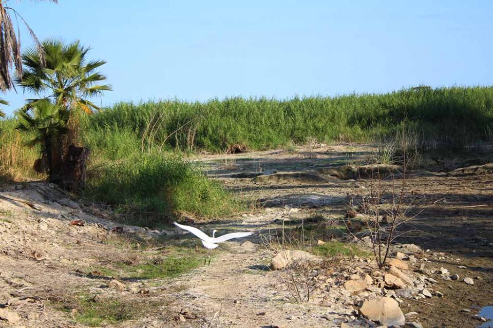 Se suma Turismo Municipal al impulso del “Aviturismo” en Los Cabos Se suma Turismo Municipal al impulso del “Aviturismo” en Los Cabos