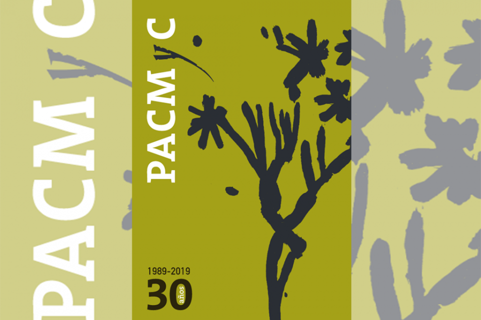 Se abre la convocatoria del PACMYC 2019 Se abre la convocatoria del PACMYC 2019