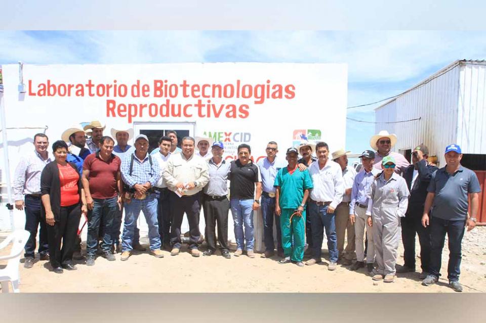 BCS sin registro sobre trata de personas en la industria pesquera BCS sin registro sobre trata de personas en la industria pesquera