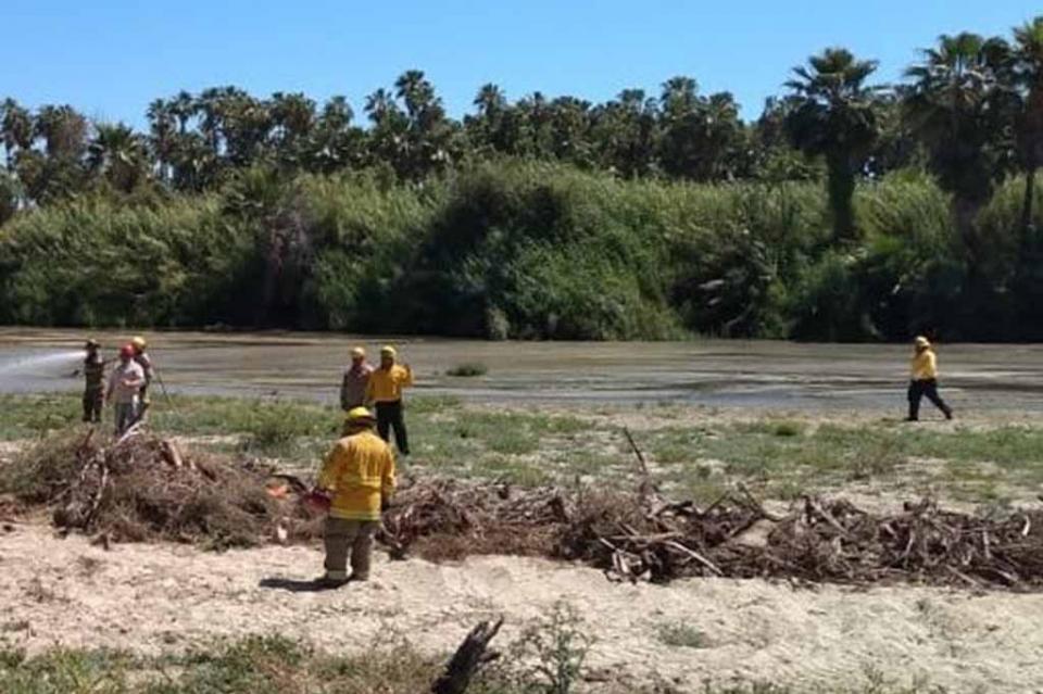 Activa SETUES, equipo estatal de manejo de incidentes en Estero San José Activa SETUES, equipo estatal de manejo de incidentes en Estero San José
