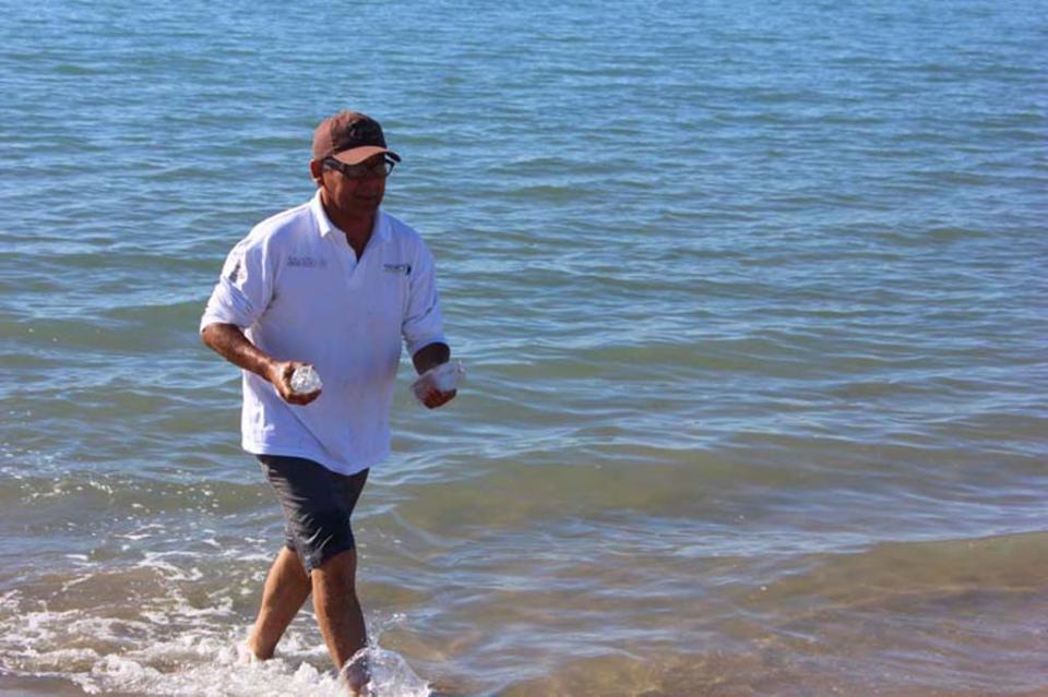 Playas de BCS poseen condiciones sanitarias óptimas para uso recreativo Playas de BCS poseen condiciones sanitarias óptimas para uso recreativo
