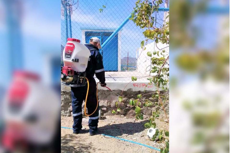 Se realizan brigadas de control larvario para eliminar criaderos de mosco Se realizan brigadas de control larvario para eliminar criaderos de mosco