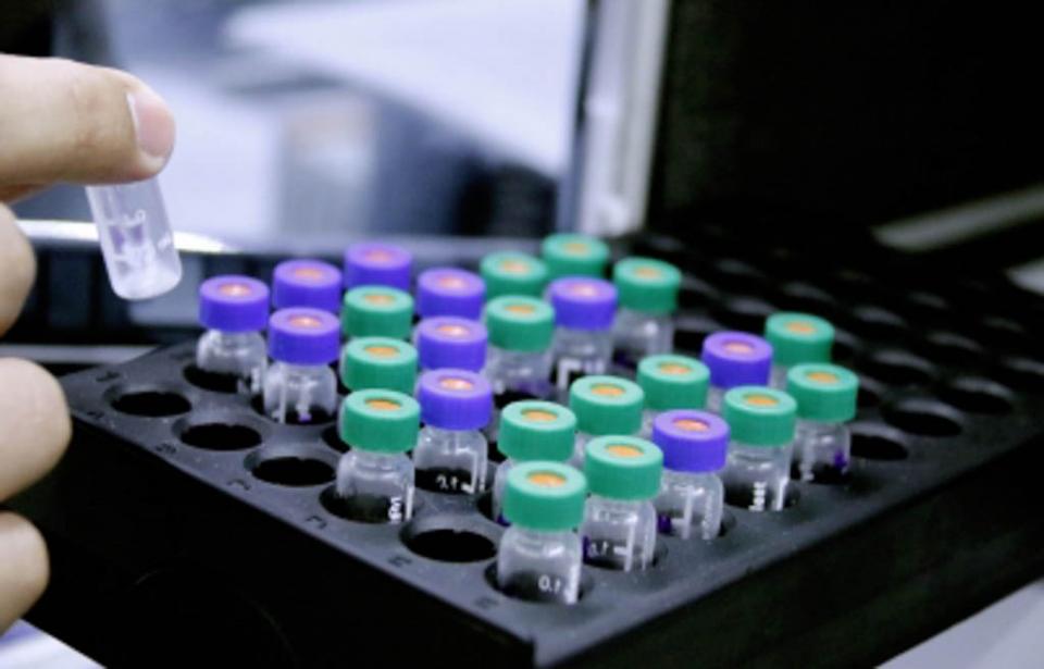 Determinan biomarcador para tratamientos personalizados contra el cáncer Determinan biomarcador para tratamientos personalizados contra el cáncer
