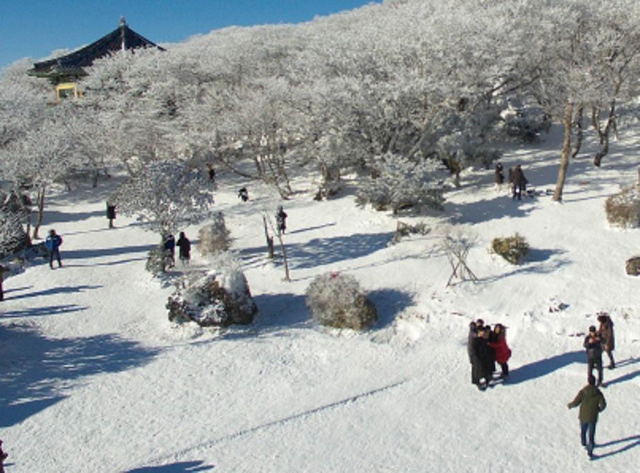 Elaboran dispositivo capaz de crear electricidad a partir de nieve Elaboran dispositivo capaz de crear electricidad a partir de nieve