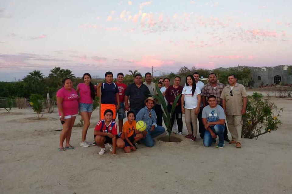 Realizan reforestación en la zona norte de Los Cabos con plantas florales y frutales Realizan reforestación en la zona norte de Los Cabos con plantas florales y frutales