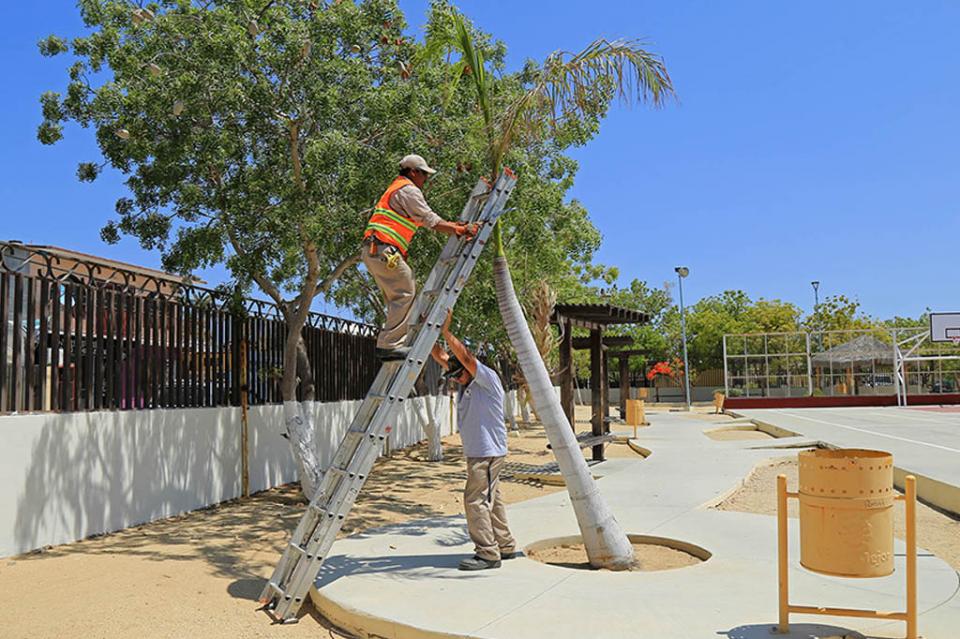 Servicios Públicos continúa con la mejora y rehabilitación de parques en Los Cabos Servicios Públicos continúa con la mejora y rehabilitación de parques en Los Cabos