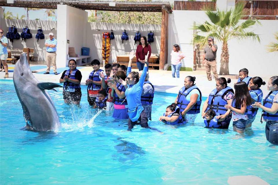 Con Delfinoterapias DIF y Cabo Dolphins benefician a niños con discapacidad Con Delfinoterapias DIF y Cabo Dolphins benefician a niños con discapacidad
