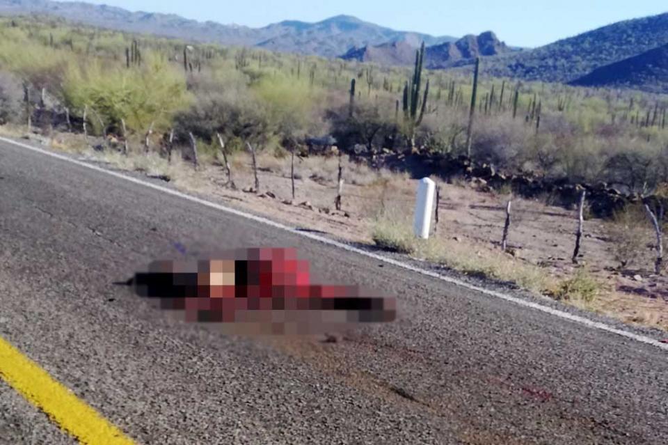 Encuentran tirado cuerpo de hombre sobre carretera Mulegé-Loreto Encuentran tirado cuerpo de hombre sobre carretera Mulegé-Loreto