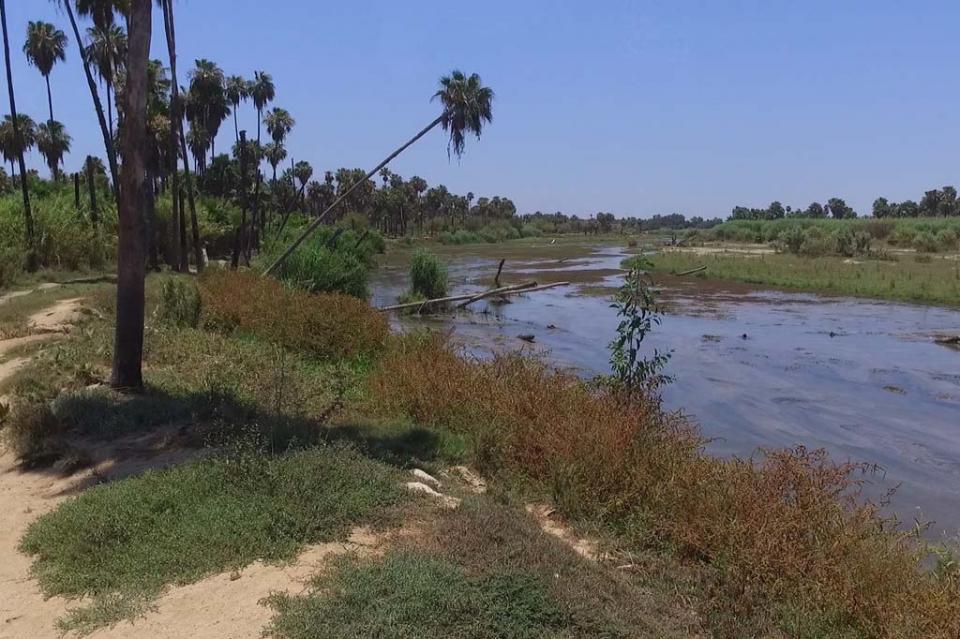 Contaminación del estero supera la norma nacional Contaminación del estero supera la norma nacional