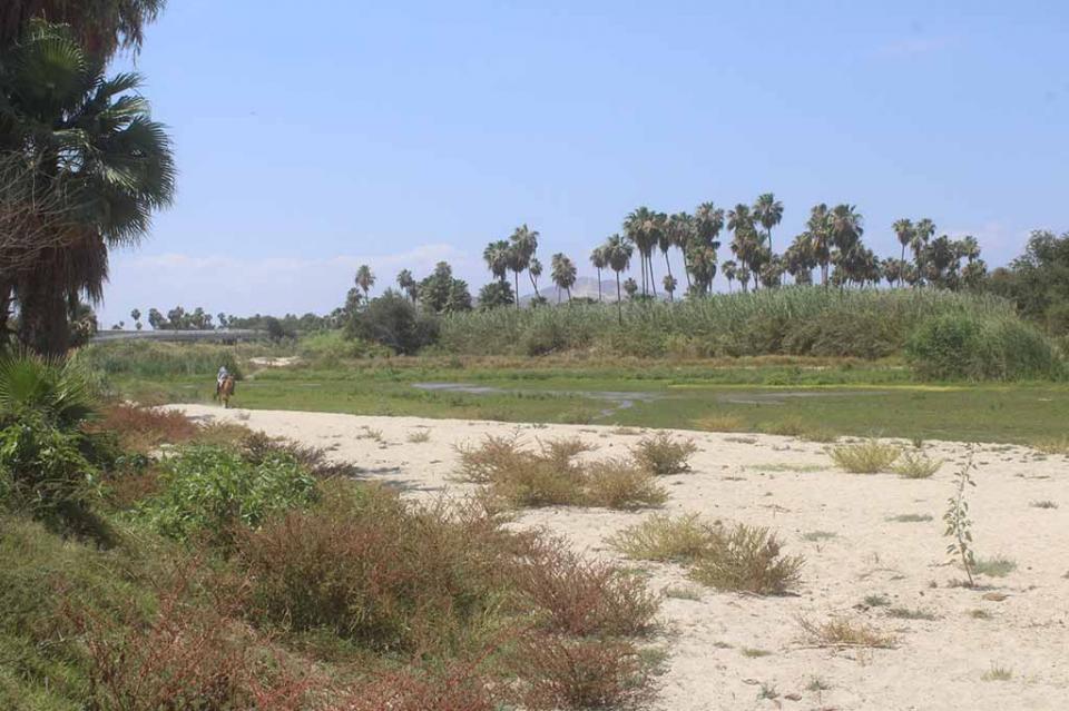 Estero Senadores de BCS se pronuncian por la protección del estero