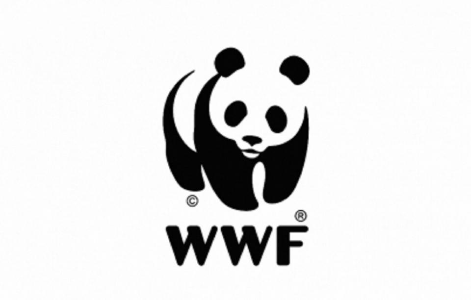 España enfrenta desertificación alerta WWF España enfrenta desertificación alerta WWF