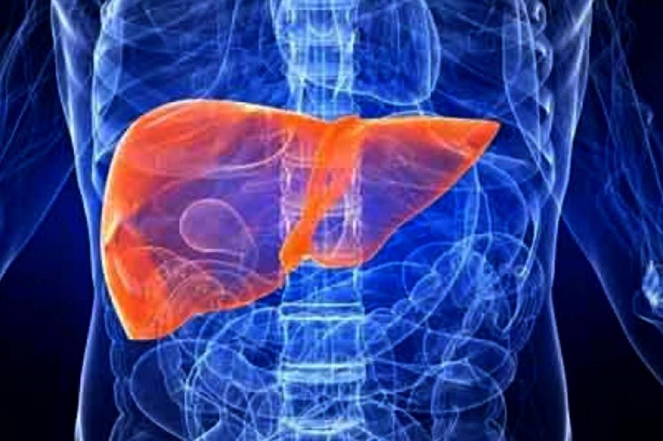 Hepatitis, enfermedad silenciosa pero de alta prevalencia en México Hepatitis, enfermedad silenciosa pero de alta prevalencia en México