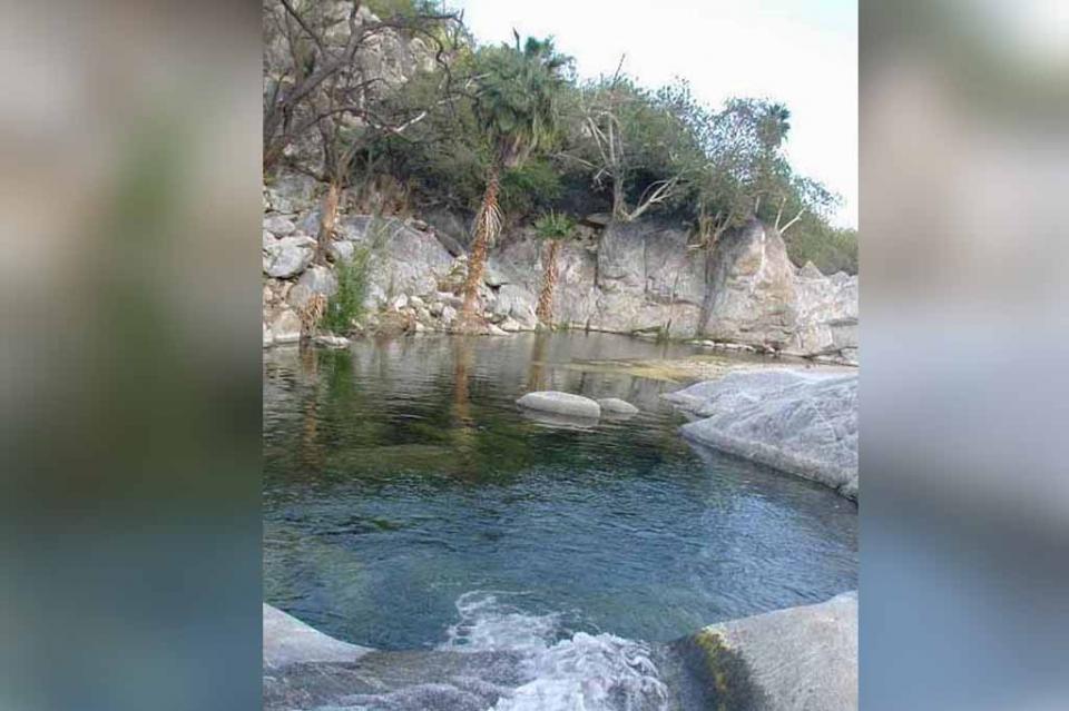 BCS canta victoria, el agua triunfó sobre el oro: Luis Araiza BCS canta victoria, el agua triunfó sobre el oro: Luis Araiza