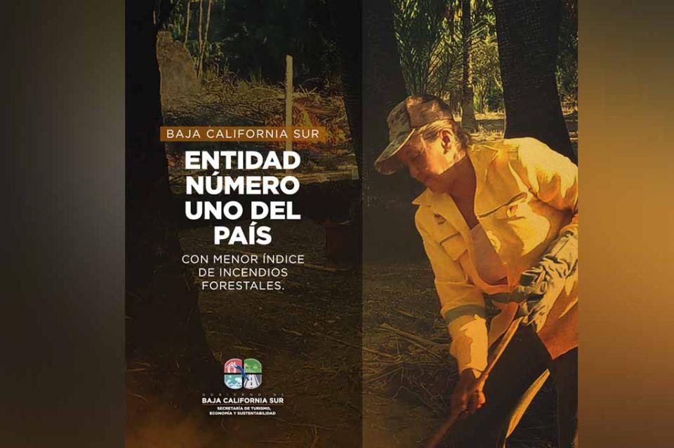 BCS comprometido con la protección de sus zonas forestales BCS comprometido con la protección de sus zonas forestales