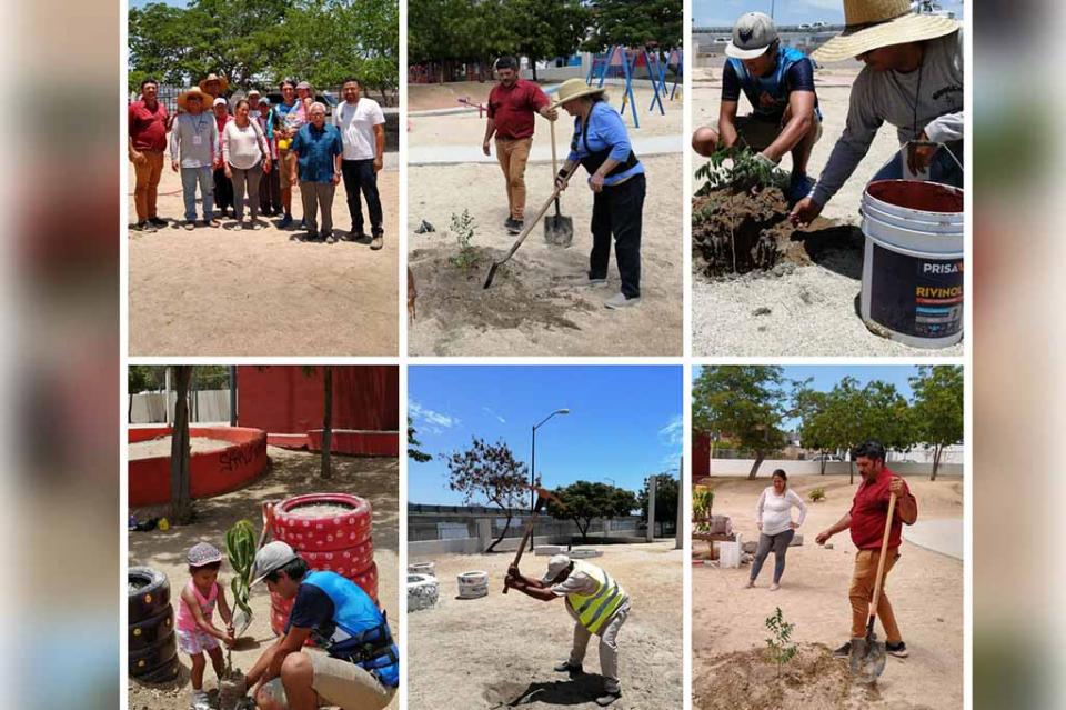 Nuevo Proyecto de Reforestaciones inicia el Gobierno Municipal Nuevo Proyecto de Reforestaciones inicia el Gobierno Municipal