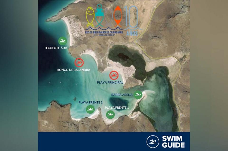 Advierten observadores ciudadanos niveles de contaminación no aptos para uso recreativo en Balandra Advierten observadores ciudadanos niveles de contaminación no aptos para uso recreativo en Balandra