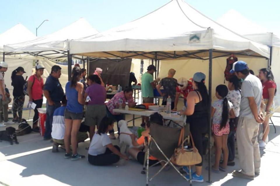 Realiza Salud esterilizaciones caninas y felinas en Los Cabos Realiza Salud esterilizaciones caninas y felinas en Los Cabos