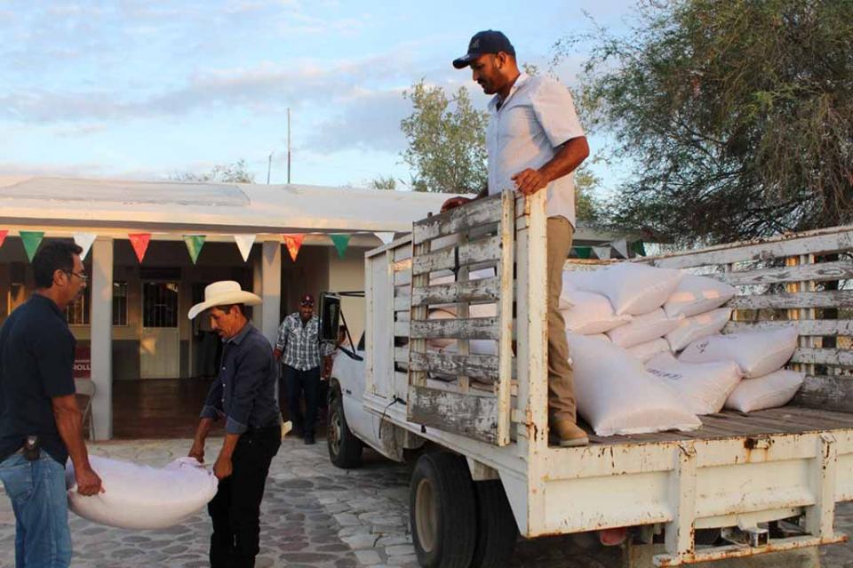 Entrega SEPADA 10 toneladas de semillas de maíz en los cinco municipios Entrega SEPADA 10 toneladas de semillas de maíz en los cinco municipios