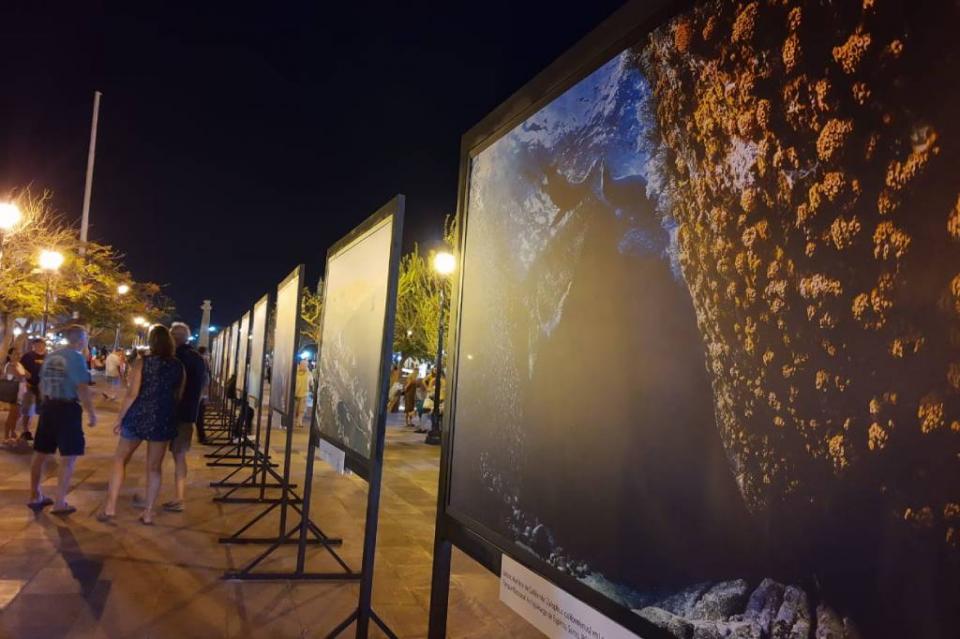 New Project - 2019-11-07T192400.888 A través del lente de Alfredo Martínez presentan exposición fotográfica de La Paz